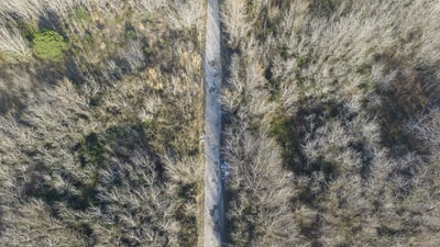 鸟的eyeview道路沿着森林的照片
